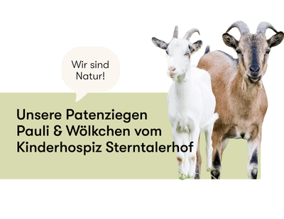 Ziegen Pauli & Wölkchen