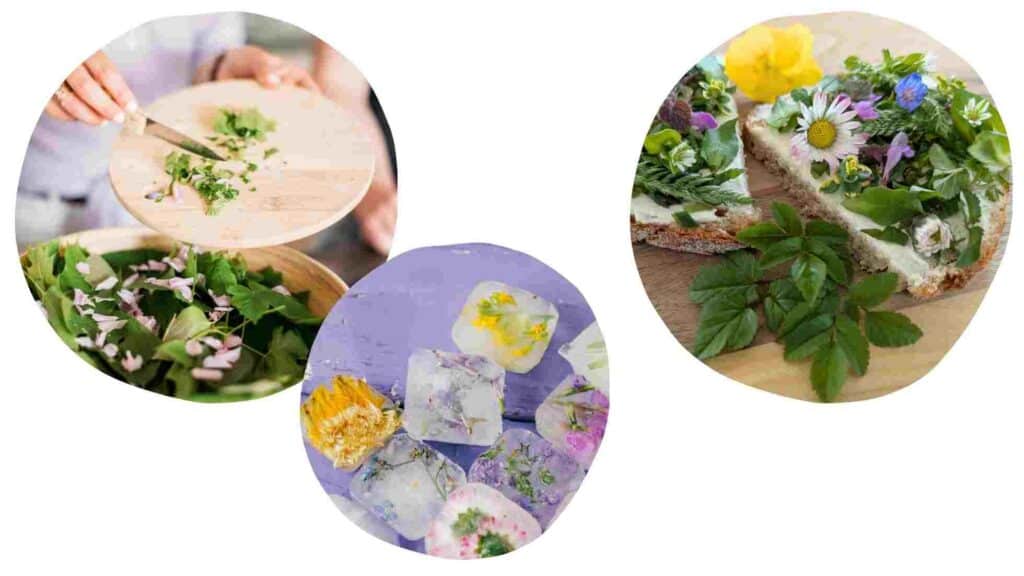 Ideen für Blüten als Dekoration auf Essen
