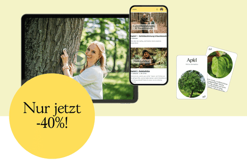 Tablet und Handy mit Inhalten des Online Baumkurses; inkl. Memorykarten & Aktionspreis um -40%